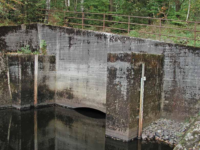 Hallands län Fig. 20. Vid Johansfors, i reservatet Nissaström, finns stora cementväggar som hyser kalkkrävande arter som annars bara hittats i små mängder i reservaten, bl.a. Aspicilia contorta.
