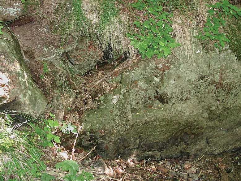 Mark- och stenlevande lavar Fig. 23. Längs med Fylleån i naturreservatet Brogård hittades finns det block i skuggigt läge. Här växte bland annat Bacidia carneoglauca, B.