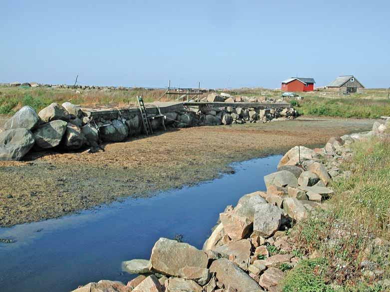 Mark- och stenlevande lavar Fig. 27. Vid denna brygga av cement, silikatblock och bräder uppträder en mer kalkkrävande flora, men även flera marina arter. Naturreservatet Grimsholmen.