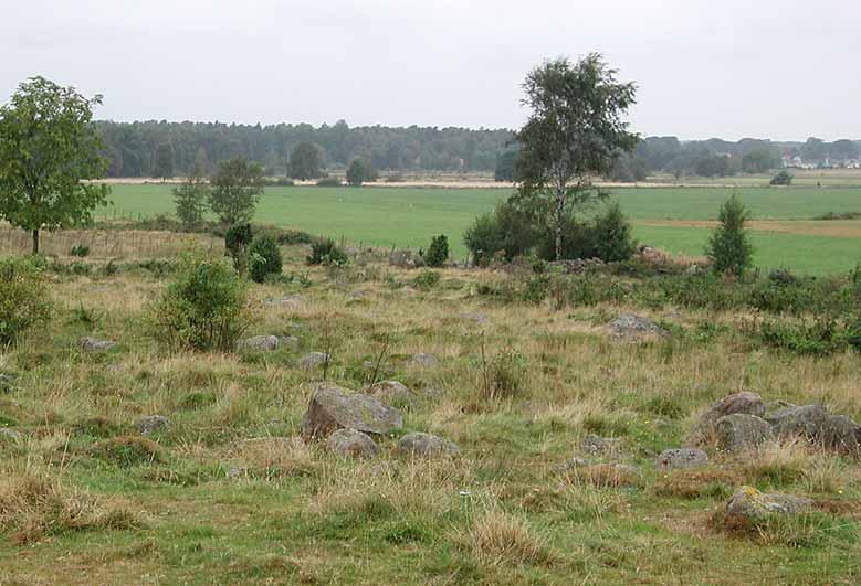 Hallands län Fig. 30. I ett fåtal av de besökta områdena finns järnhaltig sten och vissa arter trivs bättre på detta substrat än på normal silikatsten. Här i Järnmölle hittades bl.a. Acarospora sinopica och Rhizocarpon oederi.