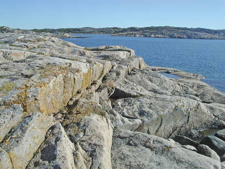 Hallands län Fig. 33. Ramnö i naturreservatet Kungsbackafjorden är en av de artrikaste platserna som inventerades.