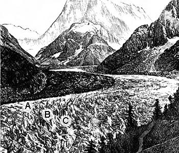 Glaciärrörelse En glaciär rör sig med olika hastigheter. Rangordna de olika markerade delarna av glaciären nedan utifrån hur fort de rör sig.