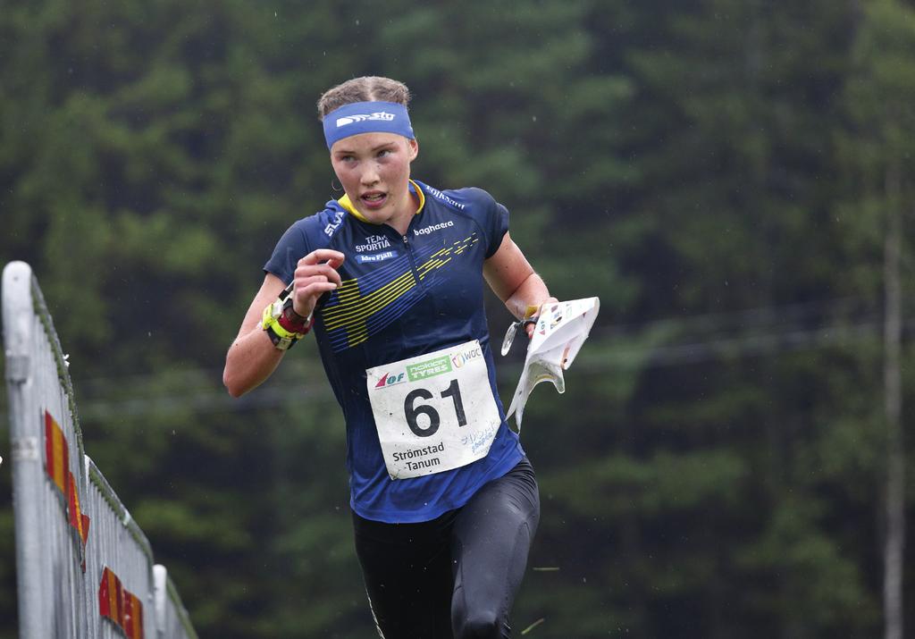 Landslaget 2019 Svensk orientering har som målsättning att ha världens bästa landslag över tid. Vi vill vara bästa nation på VM.
