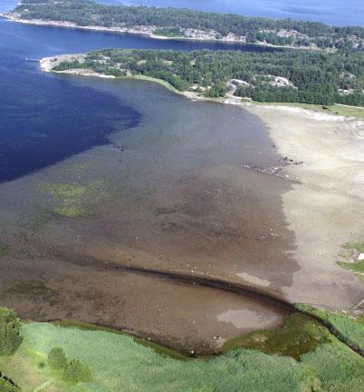 LÅNGTIDSTRENDER Galterö 1 9 8 R 2 =,54 Station Galterö (region 3) norr om Stenungsund Antal individer/m 2 7 6 5 4 3 2 1 199 1992 1994 1996 1998 2 22 24 26 År Galterö 1 9 8 R 2 =,15 7 Antal arter 6 5
