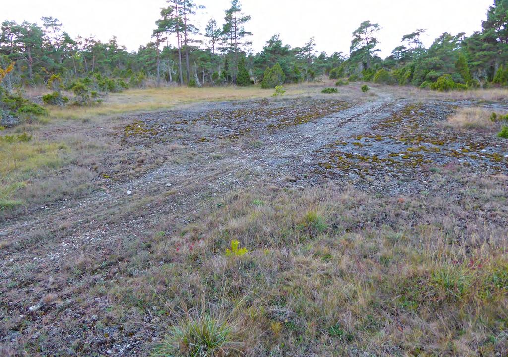 1 22 Öppet område med