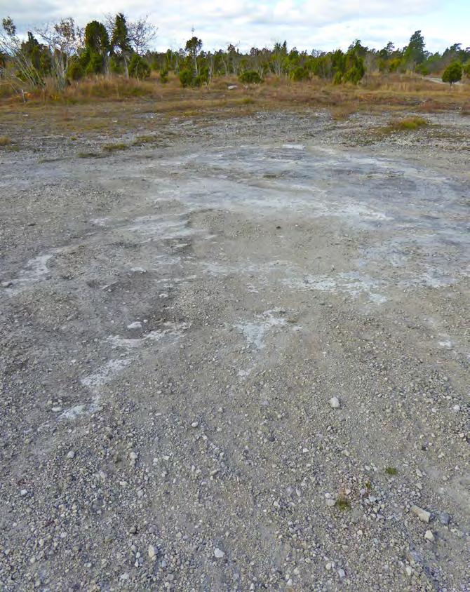 1Naturvärdesklass: 1 Högsta naturvärde Motivering: Högt biotopvärde knutet till ett stort öppet område med mosaik av flertalet välutvecklade naturtyper som förekommer i naturlig zonering, rikligt med