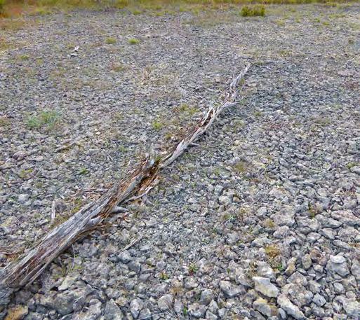 körskador vilket det finns gott