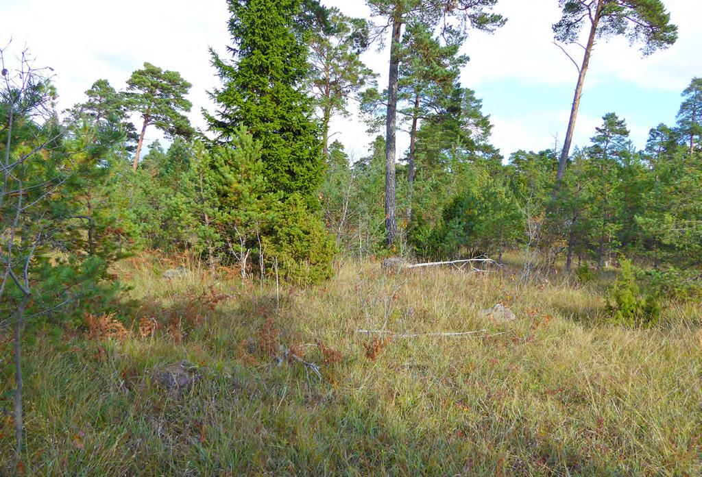 1 60 Hygge med skärmställd tall,