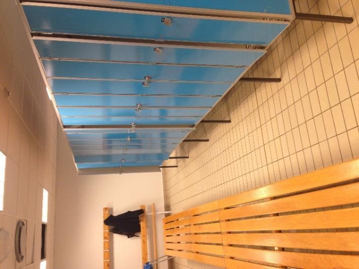 Bastun, se figur 4, utgjordes av två separata basturum anslutna till