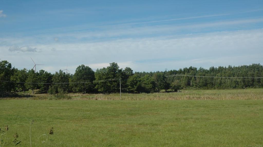 trädridån. Figur 12.
