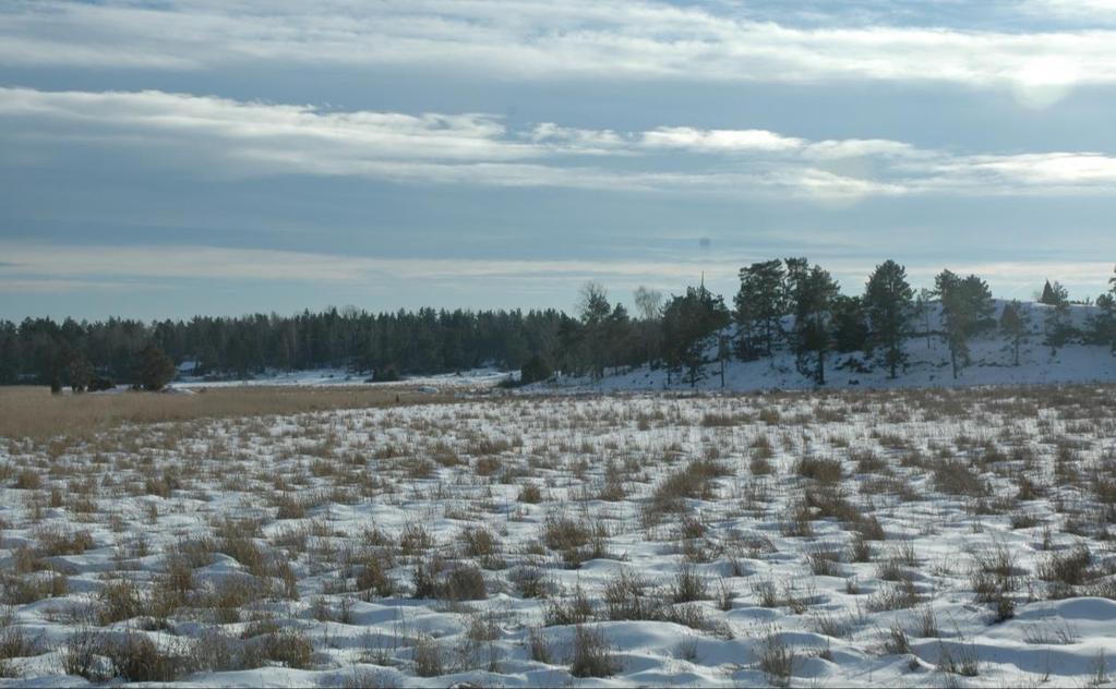 Figur 17. Utsikt från vägen mot Marviken/Björnö, ca 2 km från närmaste vindkraftverk.