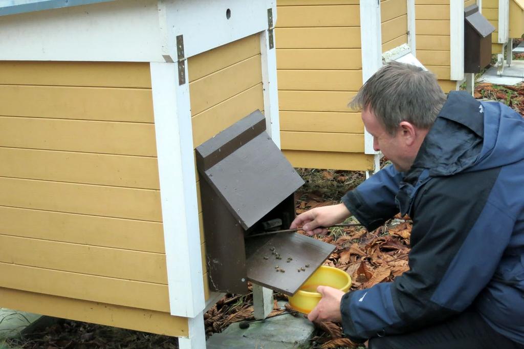 Hylsorna placeras på vänster åtsida och höger framsida, den övre hylsan i överlisten mitt för sidolisten, den nedre cirka 6-7 cm från bottenlisten på sidolistens kant.