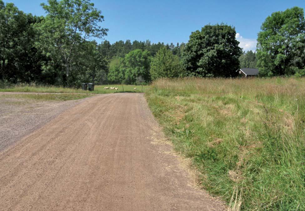 Den östligaste delen av den planerade vägbreddningen berör ett potentiellt förhistoriskt grav- och