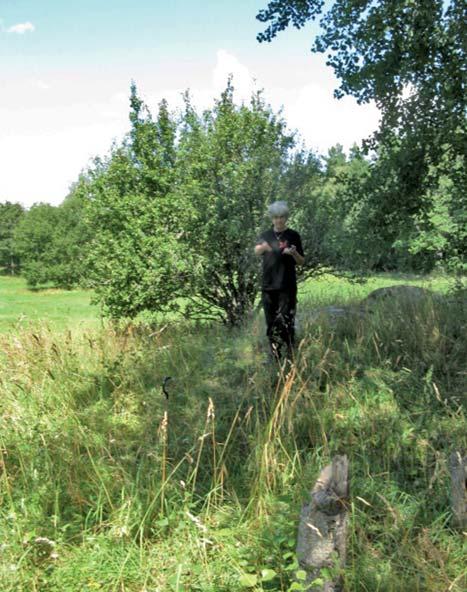 Figur 13. Den nuvarande grusvägen går rakt över två äldre bytomter, som fortfarande är bebyggda.