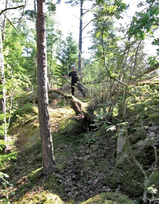 den södra sidan av grusvägen ligger byn Sväms gamla bytomt, idag läget för Västergården och Erlandsgården. Norr om grusvägen är Bosgården belägen.