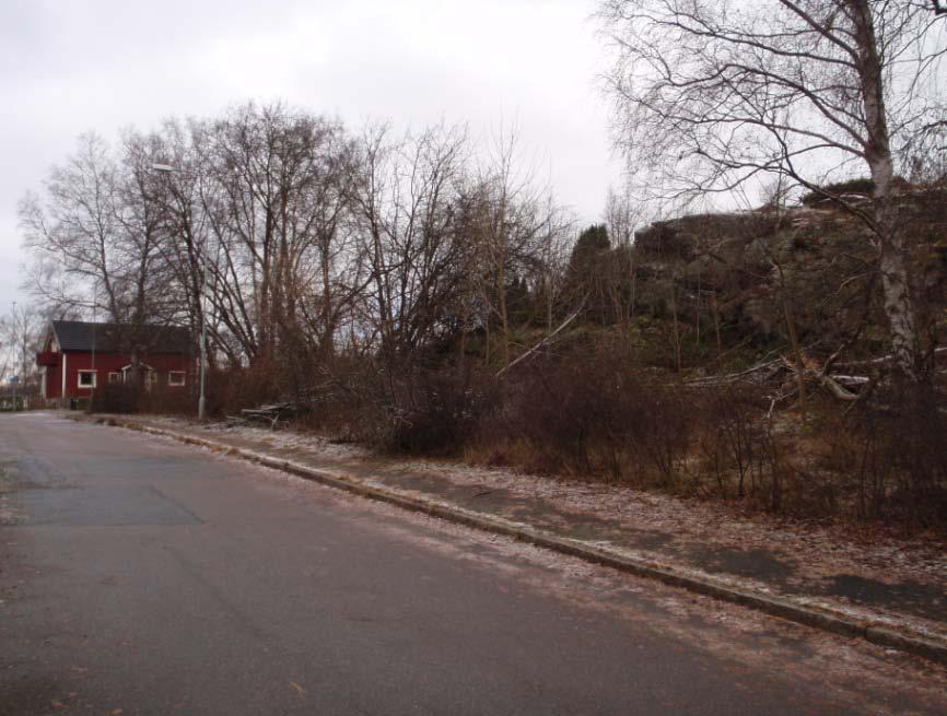 Bild 5. Nyhemsgatan, bilden tagen mot väster, på det bergiga partiet på höger sida planeras parhus.