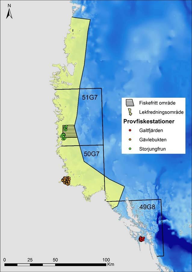 Figur 1. Det fiskefria området vid Storjungfrun-Kalvhararna, lekfredningsområdet i södra Bottenhavet samt referensområdet i Galtfjärden.