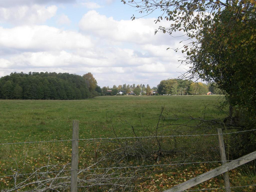 Den del av området som ligger väster om den gamla landsvägen är en helt trädfri betesmark idag.