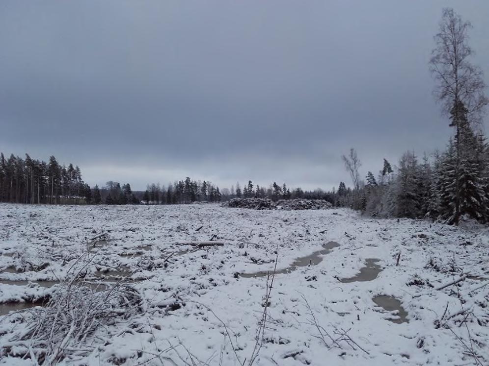 RESULTAT Vid inventeringstillfället var den del av området som utgörs av skogsmark redan helt avverkat.