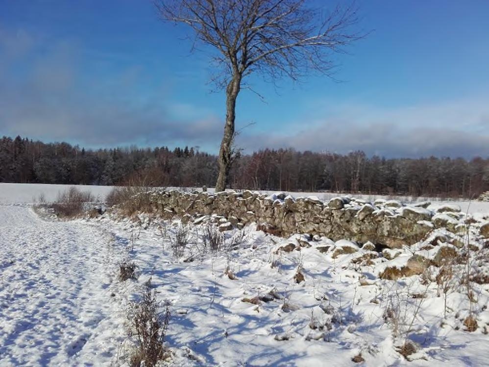 Centralt och tvärs utredningsområdet ligger RAÄ Baltak 45 (NY 1), en stenmur, ca 220 meter lång och i huvudsak välbevarad. Bedömd som en övrig kulturhistorisk lämning och som har anmälts till FMIS.