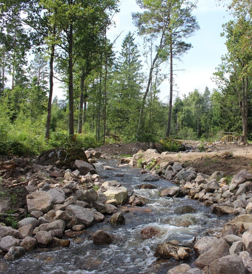 Naturvårdsverket: Handbok för miljöövervakning Elfiske i rinnande vatten, version 1:3: 020620. Naturvårdsverket: Handbok för miljöövervakning Lokalbeskrivning, version 1:3: 010816. SLU. 2016.