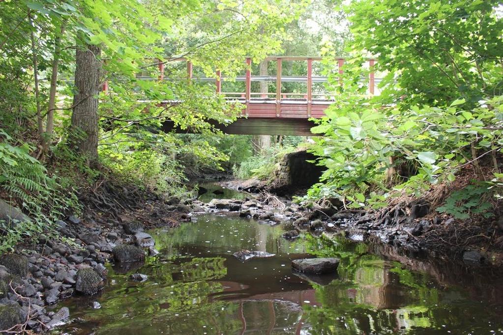 Halltorpsån, Lilla Namnerum väg (626535, 151859) Lokalbeskrivning Lokalen ligger placerad direkt nedströms vägbron.