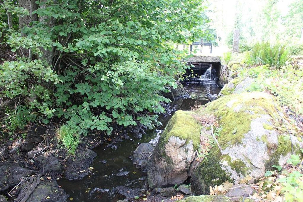 Åleboån, Idehults damm (627176, 150997) Lokalbeskrivning Mycket lågt flöde gjorde att endast en liten yta i utloppsdelen från dammen kunde fiskas av.