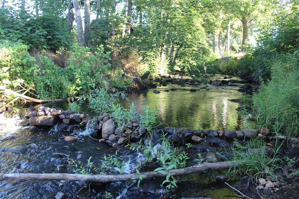 Snärjebäcken, uppströms bron Hultsby (629753, 153477) Lokalbeskrivning Elfiskelokalen är belägen direkt uppströms bron i Hultsby, här har kvarnverksamhet bedrivits längre tillbaka.