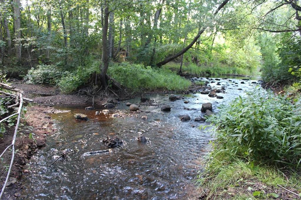 Snärjebäcken, 200 m nedströms bron Rockneby (629764, 153373) Lokalbeskrivning Elfiskelokalen är belägen 200 m nedströms valvbron i Rockneby. Här har det legat en damm med kvarn längre tillbaka.