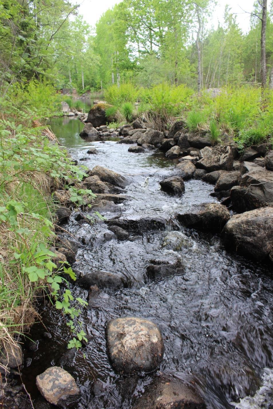 Alsterån, nedströms järnväg (631888, 152807) Lokalbeskrivning Sträckorna vid Kvilleholm arrenderas av föreningen Fiske och fritid i Blomstermåla, som ombesörjer försäljning av fiskekort.