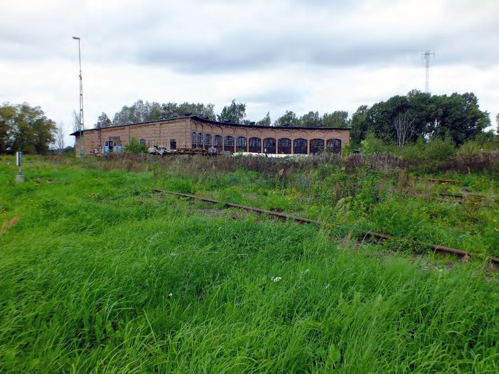Lokstallet sett från sydväst. Då spåren bara använts temporärt kan växtligheten ta för sig. Vegetationen är inte hög men omfattande.