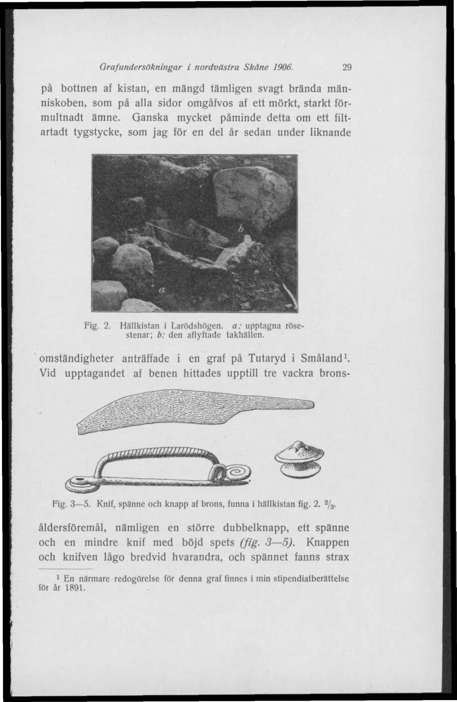 Grafundersökningar i nordvästra Skåne 1906. 29 på bottnen af kistan, en mängd tämligen svagt brända människoben, som pä alla sidor omgåfvos af ett mörkt, starkt förmultnadt ämne.
