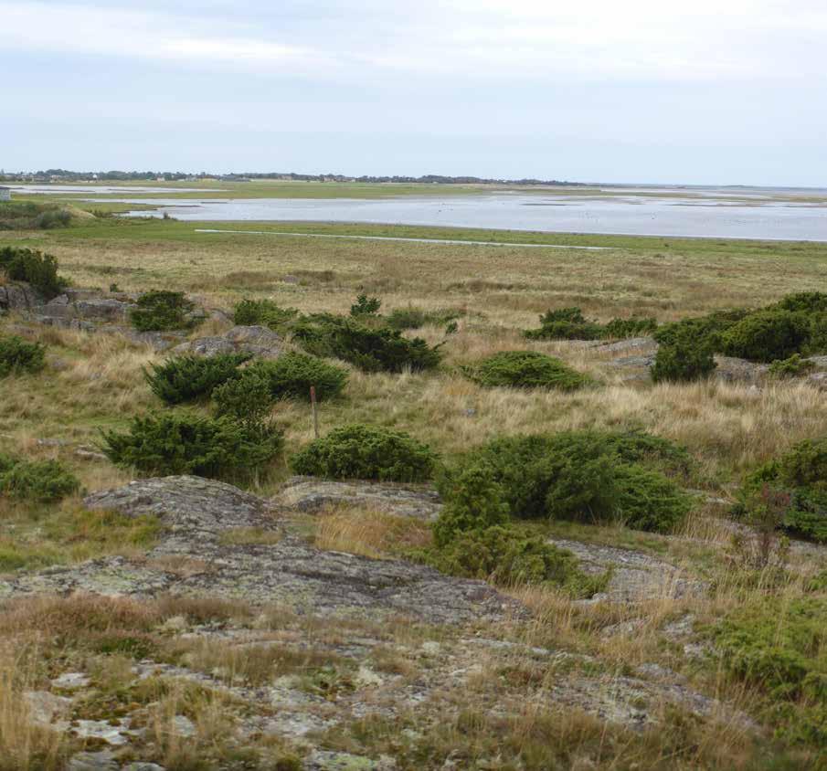 MILJÖKONSEKVENSBESKRIVNING Tillstånd för vattenverksamhet och arbeten i anslutning till Natura 2000-område