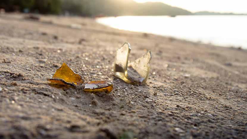 Saker som inte hör hemma i naturen slängs allt för ofta i skog och mark. Varför är det dåligt att lämna krossat glas i naturen? 1.