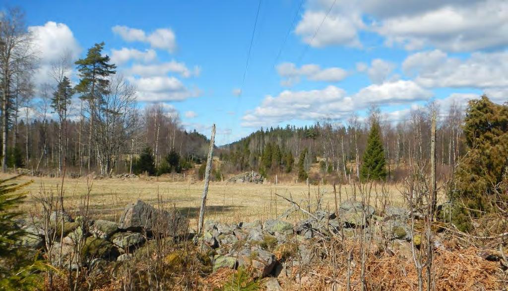 NVI 18, klass 3 Tallbevuxen myr. Natura 2000 naturtyp: skogsbeklädd myr. Talldominerande myr på båda sidor av ledningsgatan som utgör del av Fårhagaflyet. Torrare mark i norr med något grövre träd.