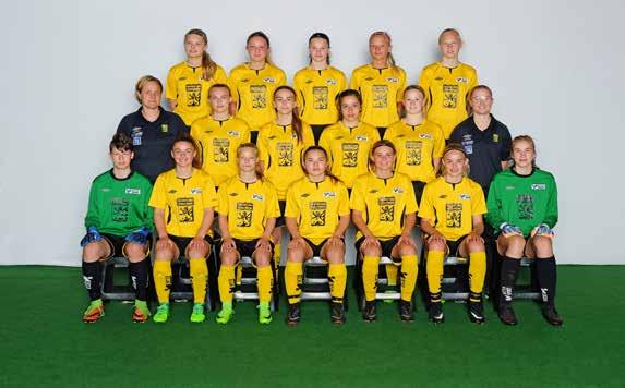 VFF-truppen, Utvecklingsläger pojkar 2017 i Halmstad Bakre raden fr.v. Erik Flodin, Sexdrega IF, Arvid Skantz, IFK Örby, Arbnor Shabani, Skene IF, Milot Nuredini, Skara FC och Teodor Svensson, Byttorps IF.