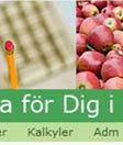 uppp till fyra olika årliga betalningar Justera årliga