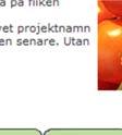 Bidragskalkyl grönsaker i växthus Bidragskalkylen tar upp de kostnader och