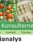 namn och år (B).