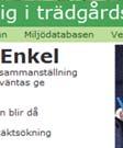 Första årets