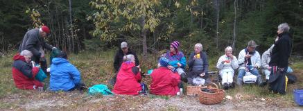 Årets sista utflykt Söndag 9 oktober Ja, så löd 2016 års sista programpunkt och kanske blir det så.