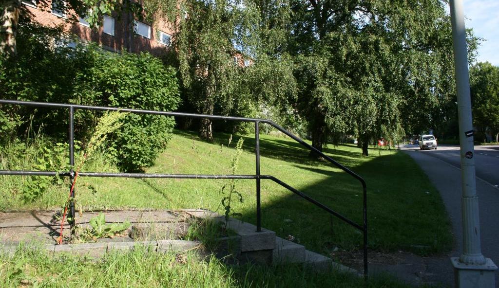 Släntkrön vid skolbyggnaden i söder ligger på nivån ca +48 och släntfot vid Guldmyntsgatan ligger på nivån +42,5.