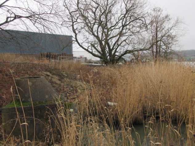 Meandrande svackdiken resulterar i att dagvattnet fördelas över stora delar av naturområdet varför den lösningen bedöms vara lämpligast.