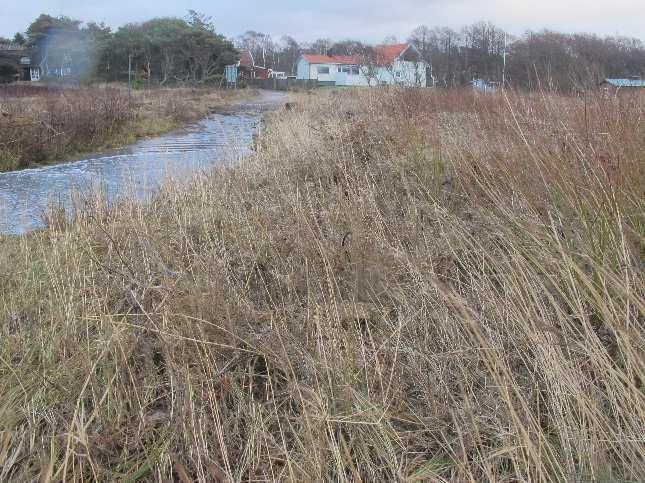 8 Hålvägar I stort sett alla de små vägarna nere i Skummeslöv är nu