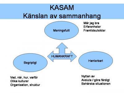 Hanterbarhet innebär att man har resurser att möta de krav och utmaningar som ställs i den situation man befinner sig i.