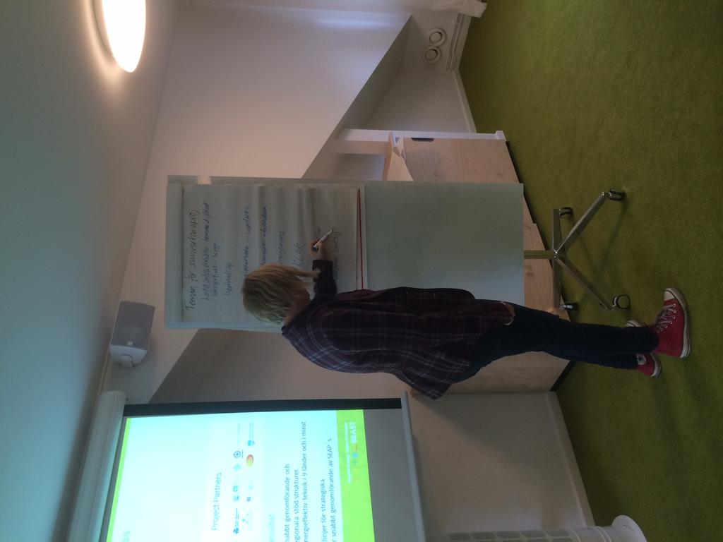 IEE project Contract N : IEE/12/856/SI2.644759 1.