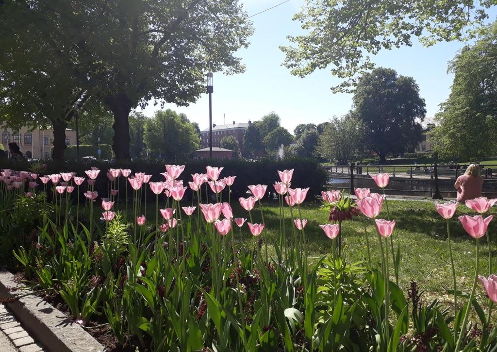 Dnr KS 218/758 217-6-15 Månadsrapport maj 218 Befolkning Antalet invånare var sista april 15 722. Födelsenettot är fortsatt lågt. Flyktingmottagning Vi har tagit emot 311 flyktingar tom april.