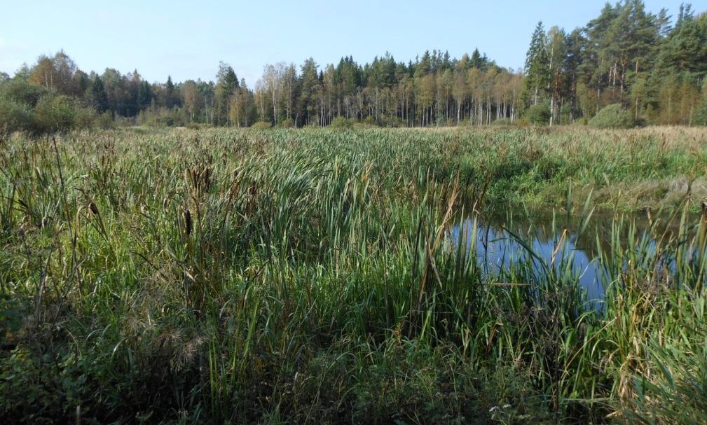 3 Gestaltningsmål och riktlinjer Projektmålen finns presenterade i sin helhet i Vägplan, val av lokaliseringsalternativ. Här kommenteras hur målen omhändertagits i gestaltningsarbetet.
