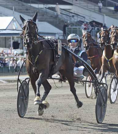 HalmstaTravet Månag september Första start