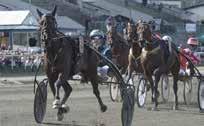 Robertsson Dik Göransson CarlOtto Söervall Patrik ohansson Markus M Untersteiner ohan onasson Camilla Untersteiner Peter Karlstet mmy Wiegren Dan Lingren Marus TÄVLINGSBANANS ÖPPETTIDER Banans